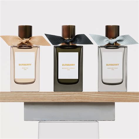 burberry borsalino|burberry signatures for men.